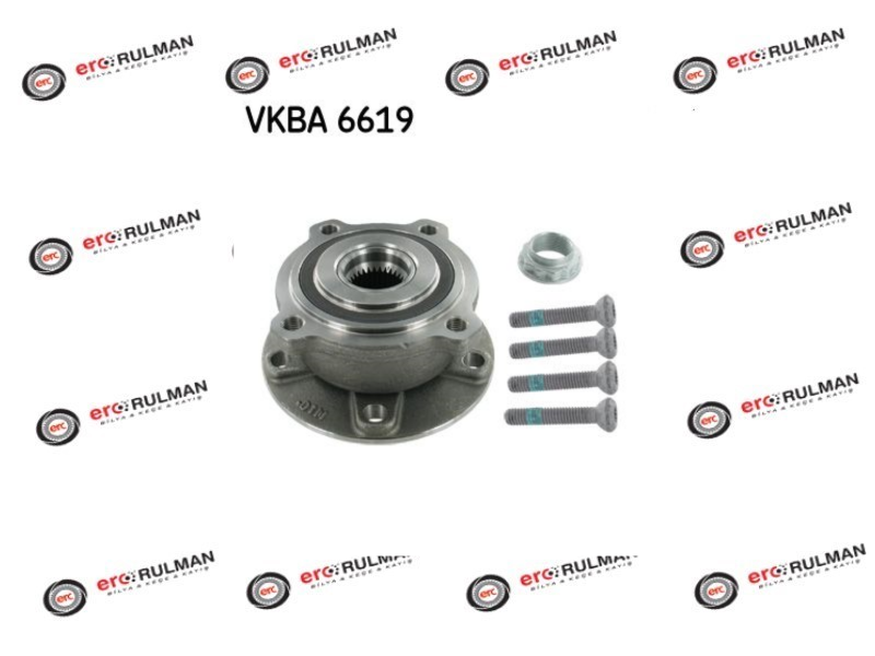 SKF VKBA 6619
