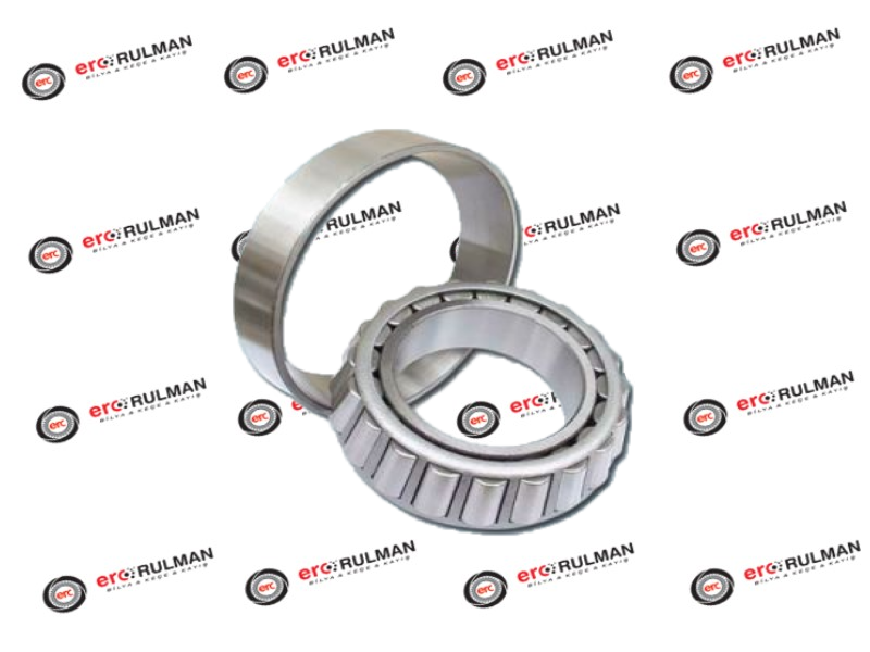 SNR 10R 30205 A